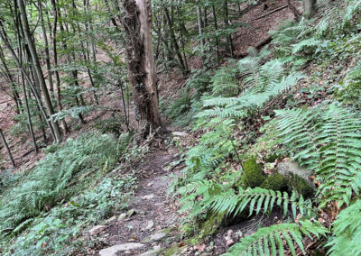 steinige-ries_wachau_wandern