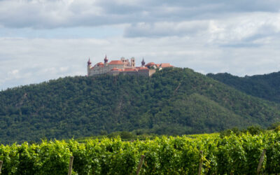 Wandern am Welterbesteig Oberbergern – Mautern