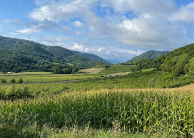 wachau_wandern_welterbesteig