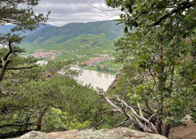 wandern_welterbesteig_wachau