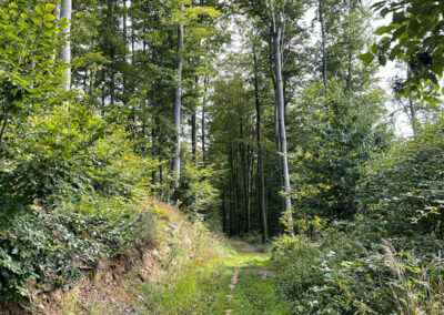 weitwanderung_welterbesteig_wachau