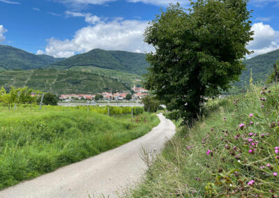 welterbesteig_arnsdorf_wachau