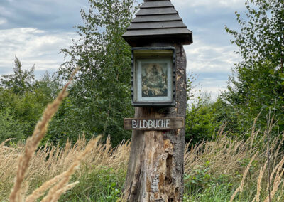 welterbesteig_wachau_bildbuche