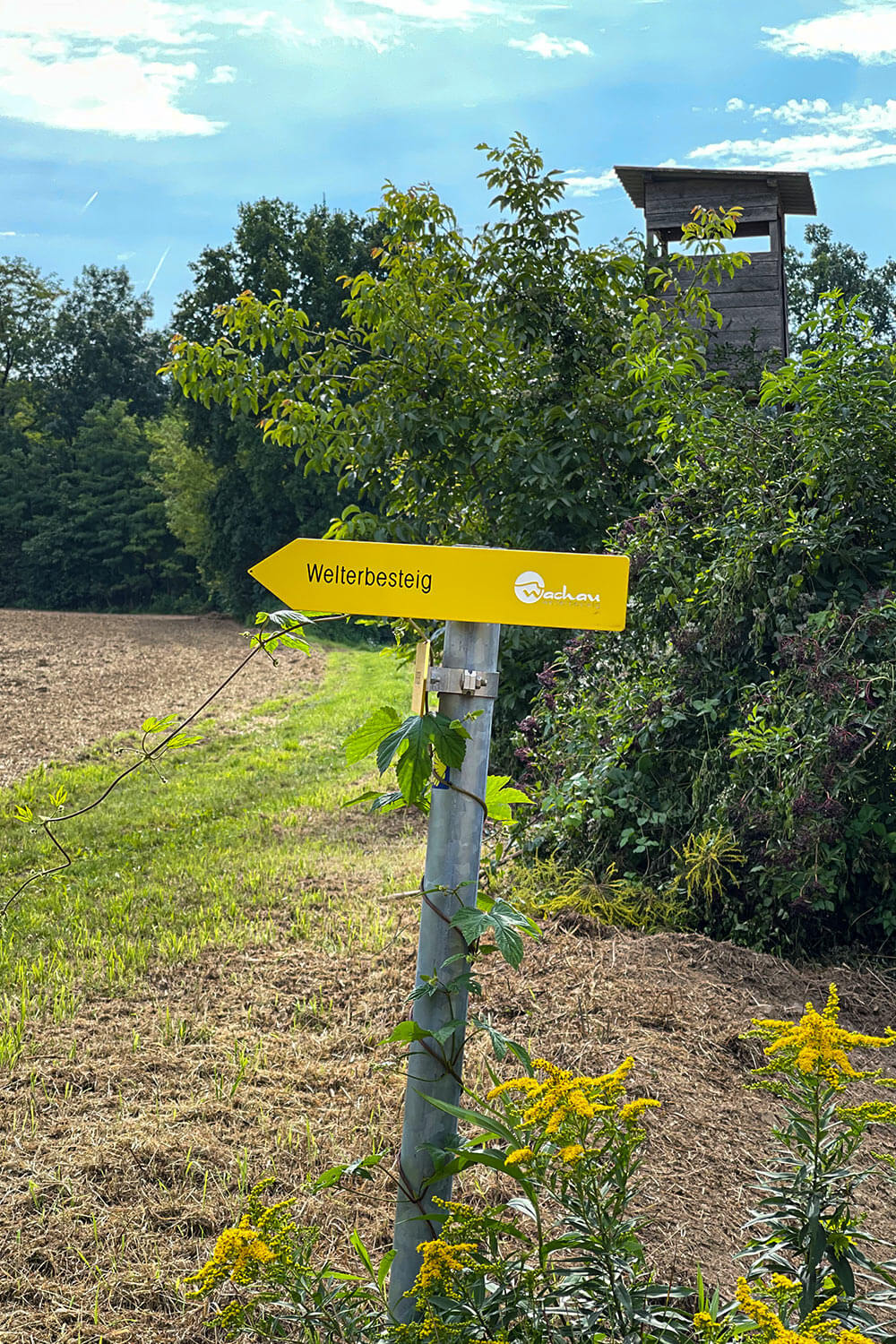 welterbesteig_wachau_südufer