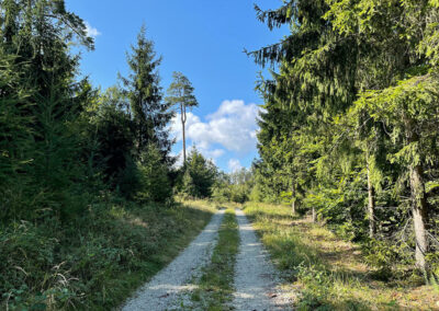 welterbesteig_wachau_wandern_oberbergern