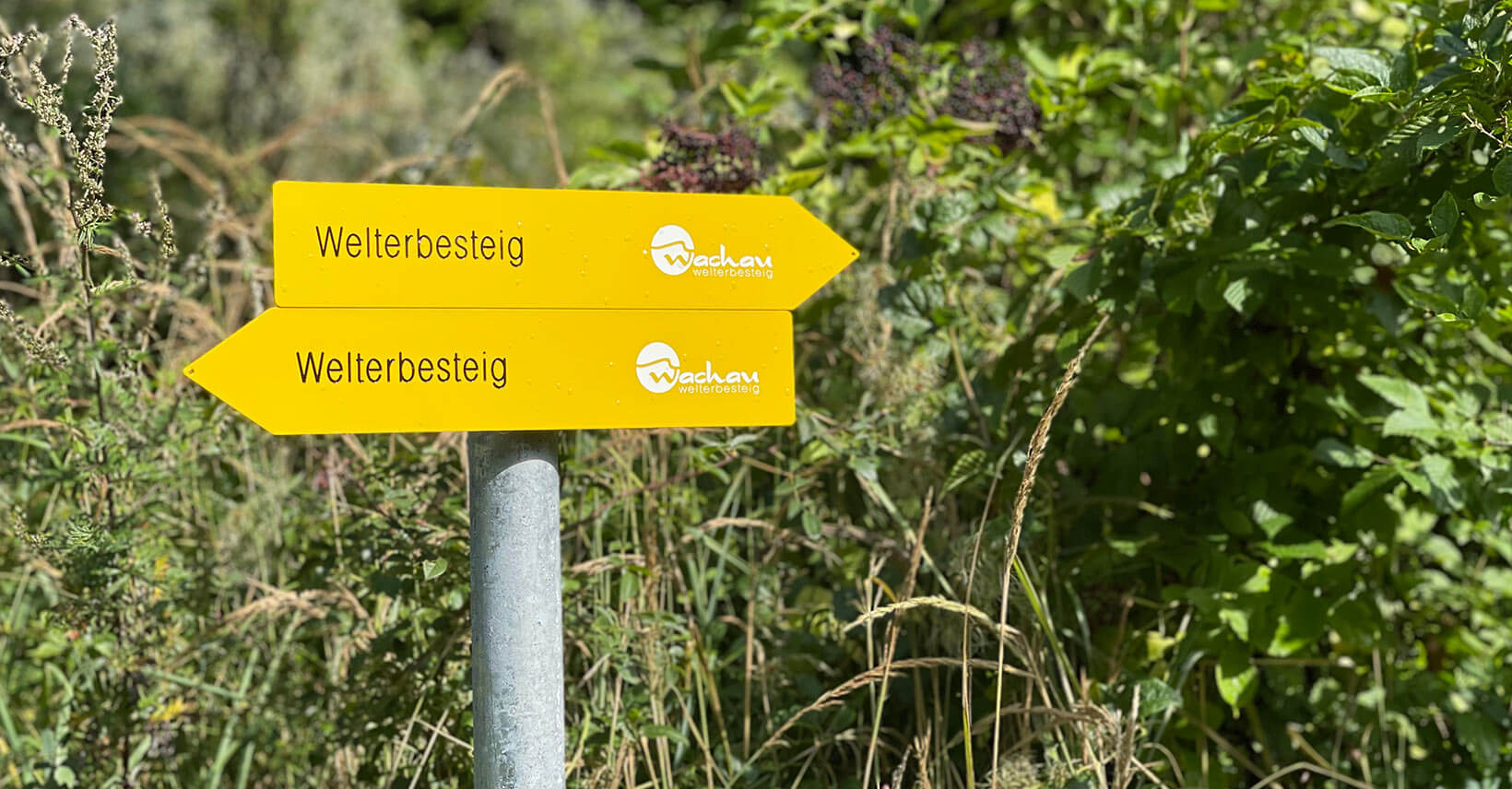 welterbesteig_wandern_wachau