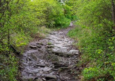 Bärenschlucht Wandern Wachau Spitz