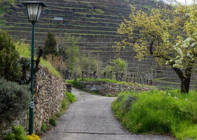 Ausflug Familie Niederösterreich Wachau