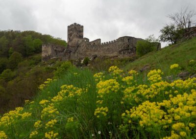 Ausflugsziel Niederösterreich Ruine Hinterhaus Spitz Wachau