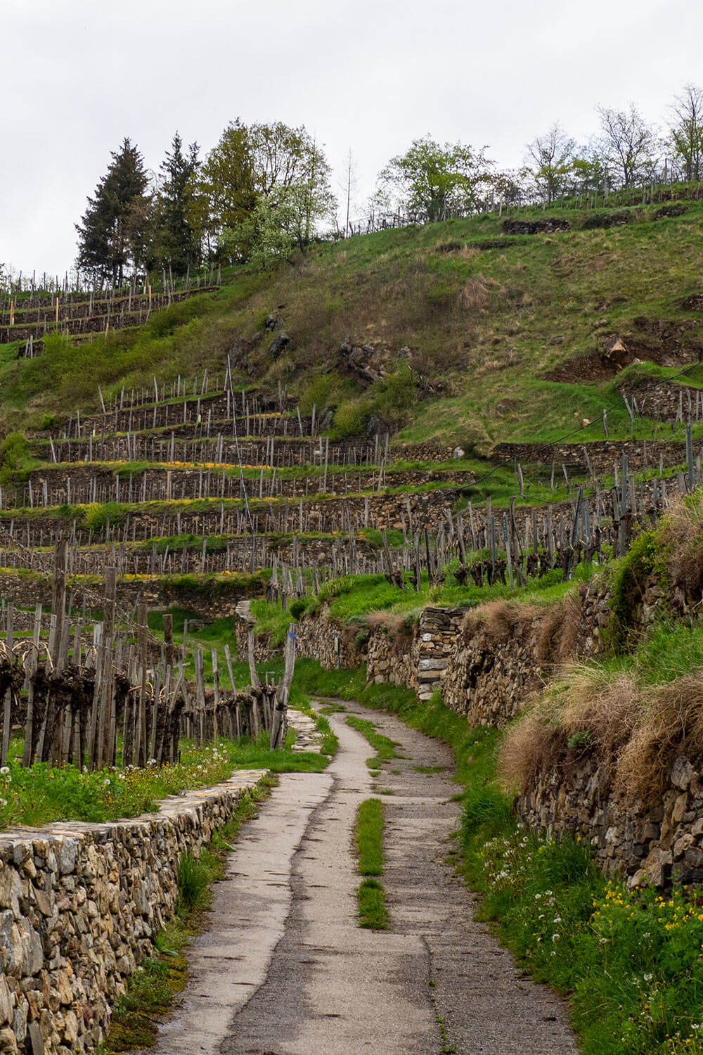 Wandern mit Kindern Wassergeistweg Spitz Wachau