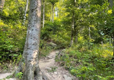 wandern_wachau_aggstein