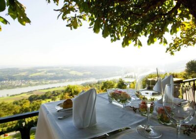 urlaub_wachau_familie_genuss_infinity_pool_hotel_schachner_wachau_empfehlung