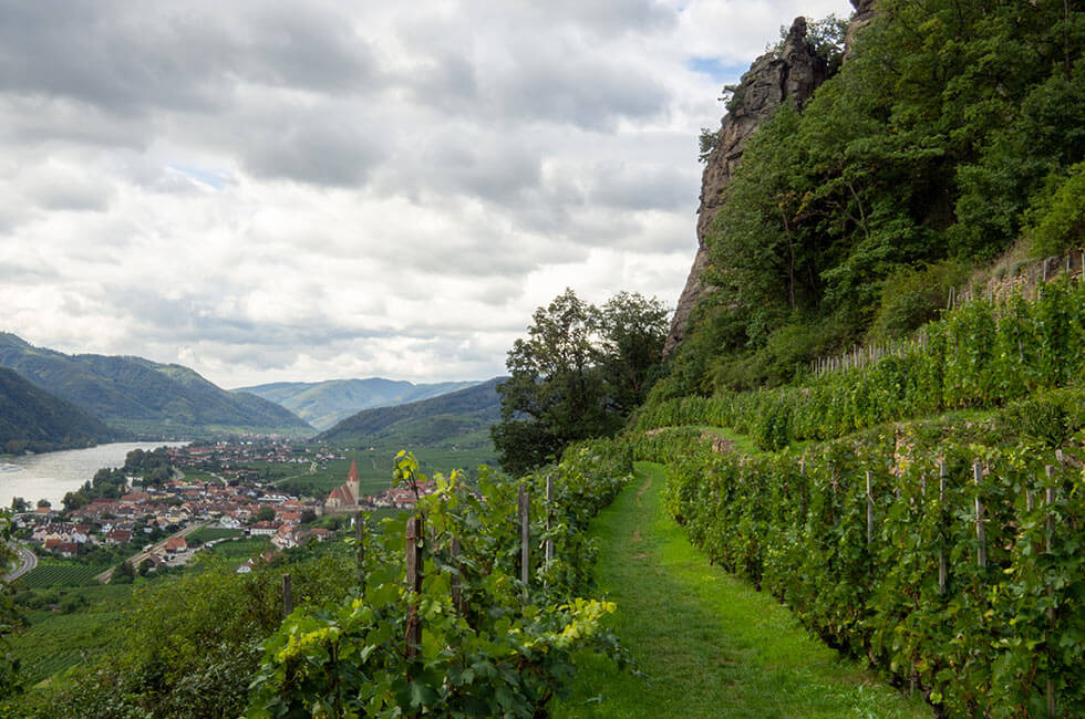 wachau_holzapfel_prantauerhof_restaurant_essen_weingut_zimmer_schlafen