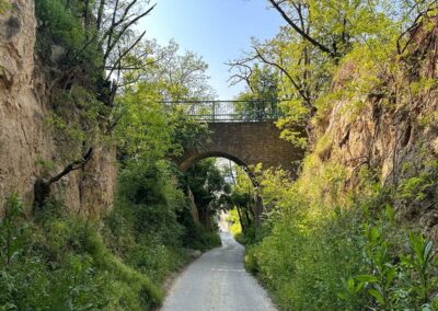 krems_wanderung_sandgruben-rundweg