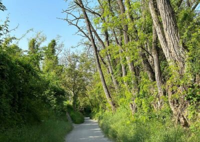 krems_wanderung_sandgruben-rundweg_grengraben