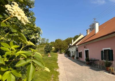 krems_wanderung_sandgruben-rundweg_keller