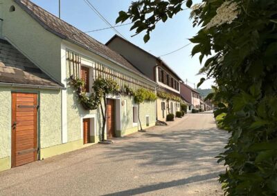 krems_wanderung_sandgruben-rundweg_kellergasse-leithen