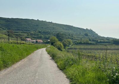 krems_wanderung_sandgruben-rundweg_leithen