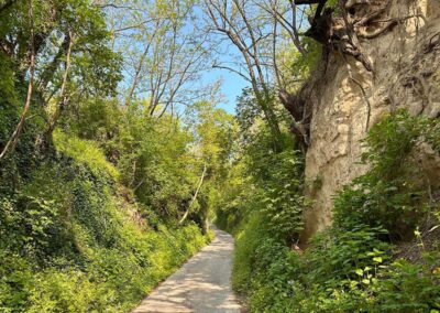 krems_wanderung_sandgruben-rundweg_lösswand