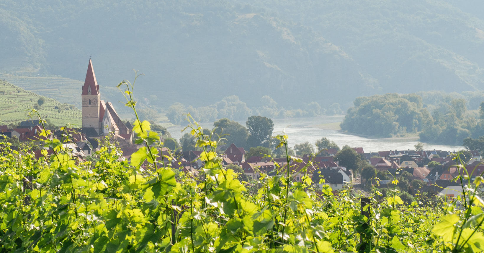 wandern_wachau_weissenkirchen_weinwanderweg