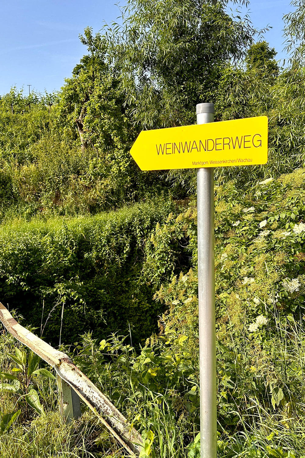 weinwanderweg_weissenkirchen