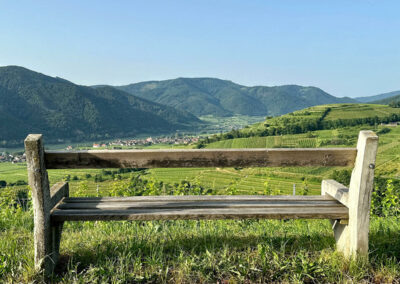 weissenkirchen_wachau_wandern_aussicht