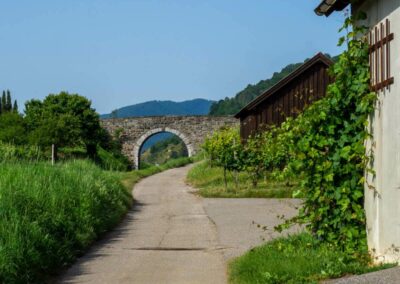 weissenkirchen_wachau_wanderweg