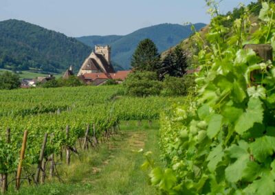 weissenkirchen_wachau_weinwanderweg_ausblick_sankt-michael