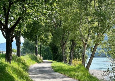 weissenkirchen_wachau_weinwanderweg_treppelweg_donau