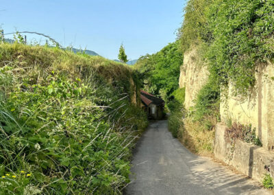 weissenkirchen_weinwanderweg_hohlgraben_joching