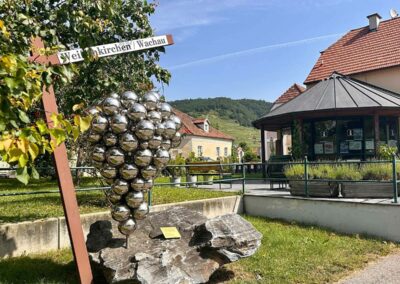 weissenkirchen_weinwanderweg_vinothek-thal-wachau